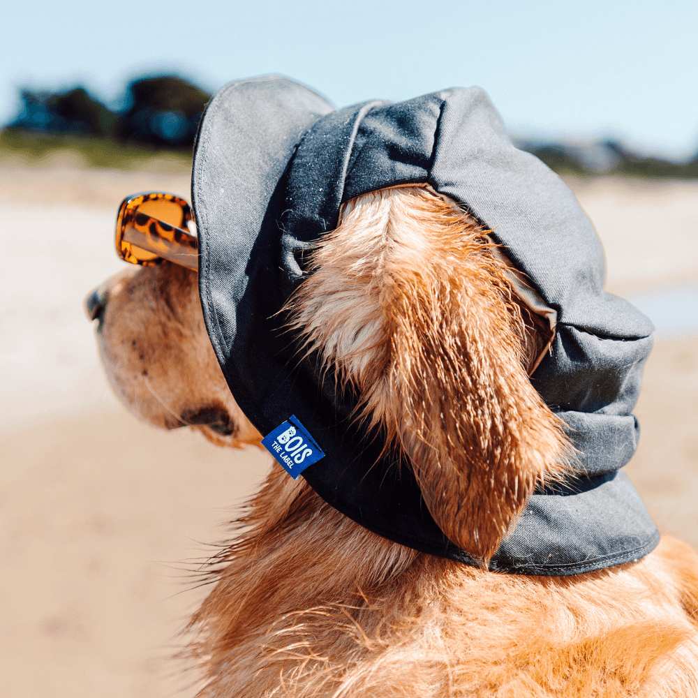 Bois The Label Nude Colorblock Reversible Dog Bucket Hat