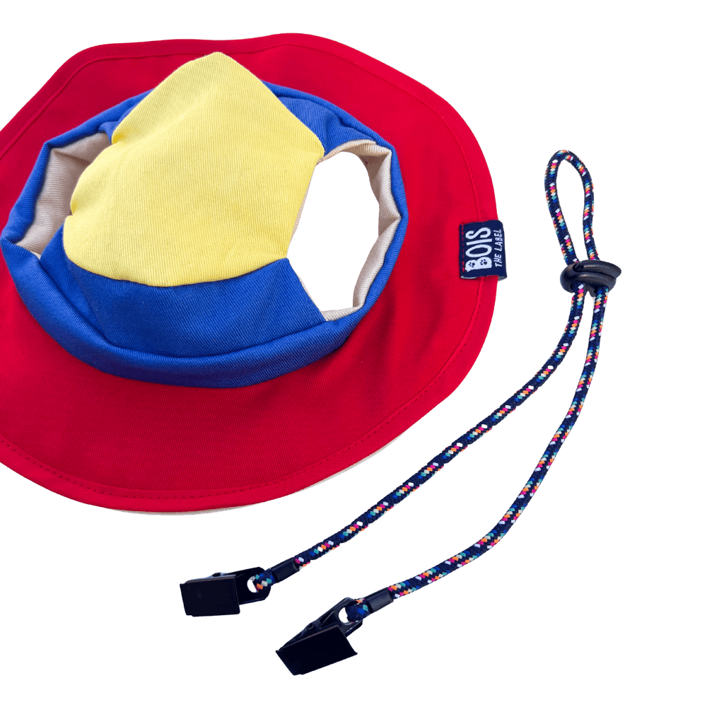 Bois The Label 90s Colorblock Reversible Dog Bucket Hat