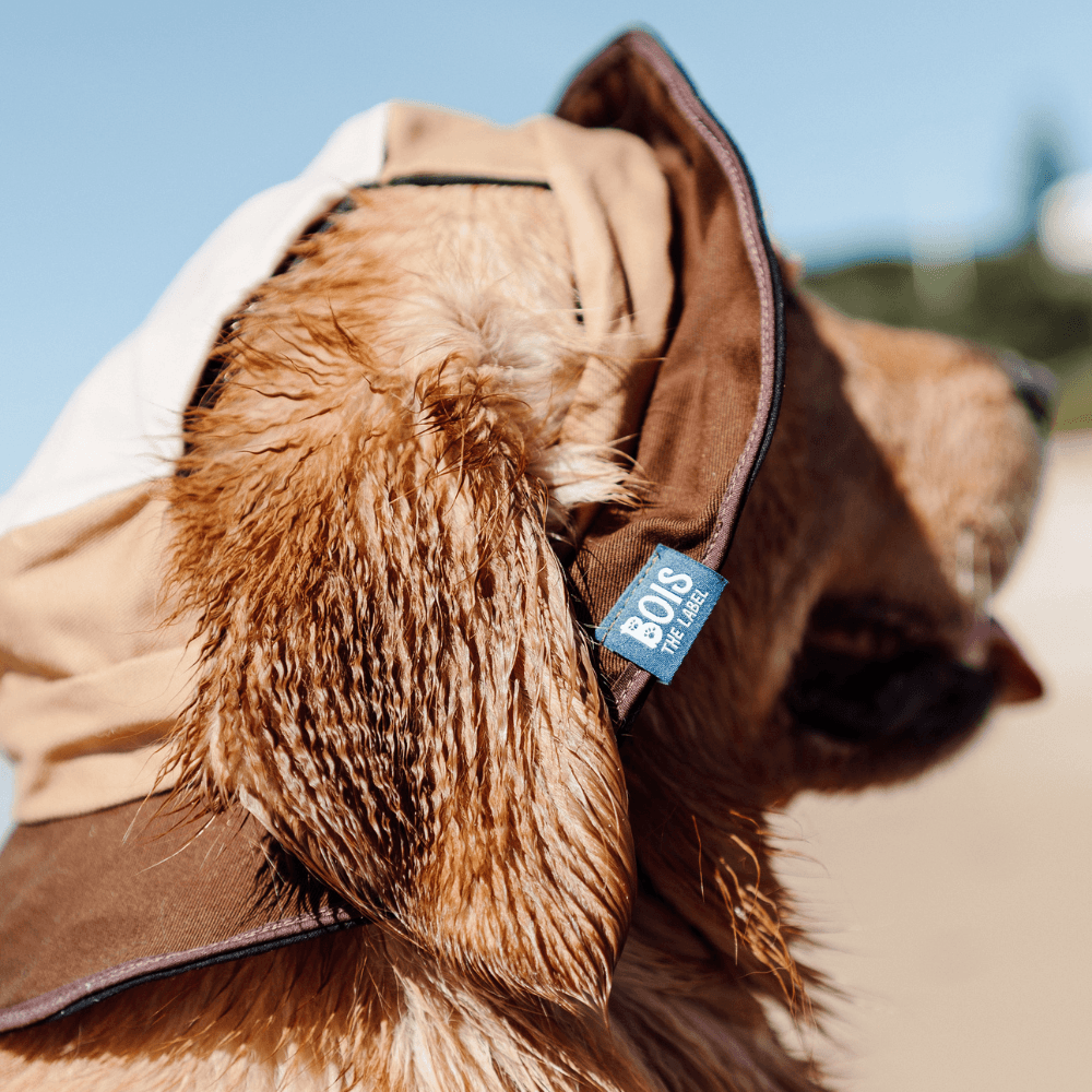 Bois The Label Nude Colorblock Reversible Dog Bucket Hat