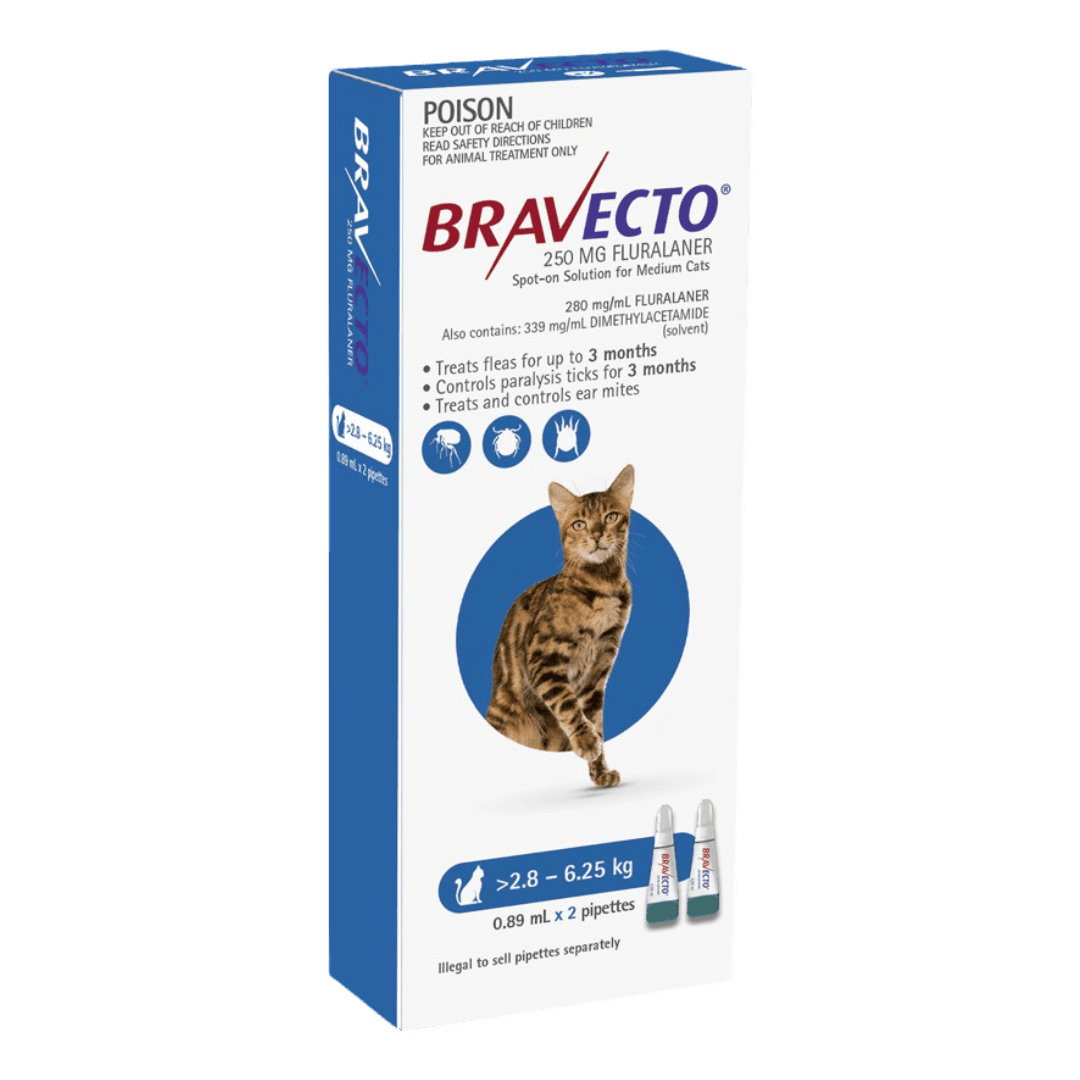bravecto-spot-on-for-cats-blue
