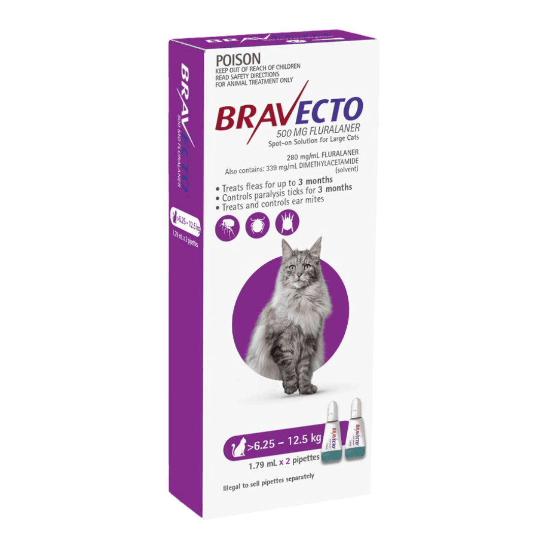bravecto-spot-on-for-cats-purple