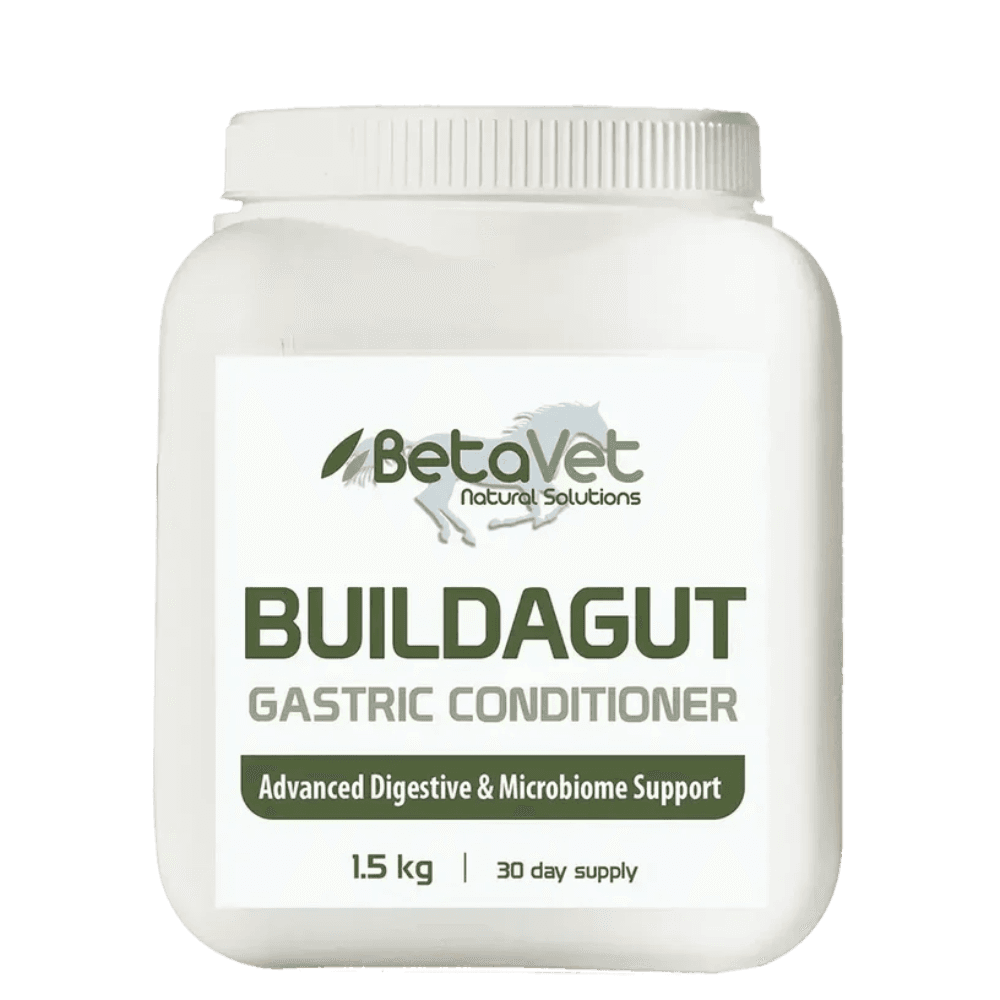 betavet-buildagut-digestive-microbiome-support-for-horses-and-ponies