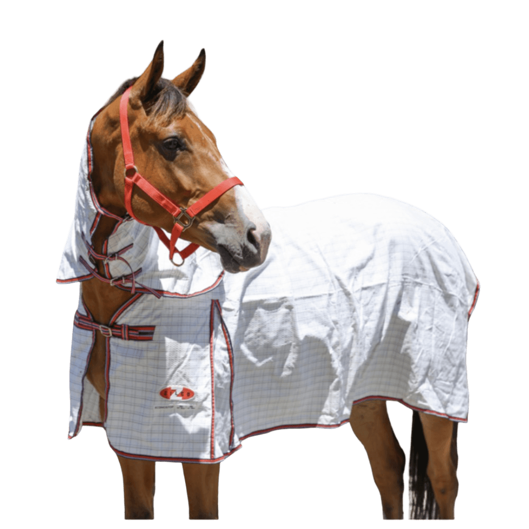 Econostop Combo White Horse Rug With Red Navy Trim