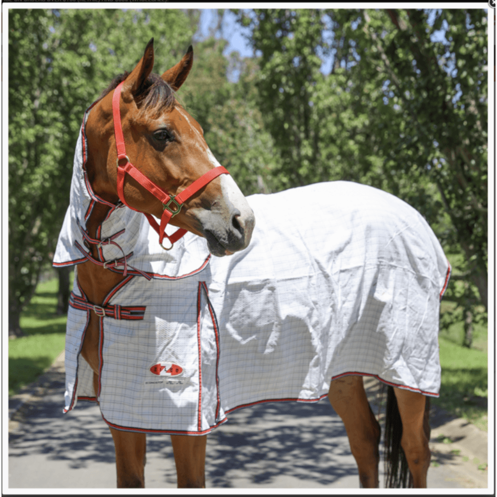 zilco-econostop-combo-white-horse-rug-with-red-navy-trim