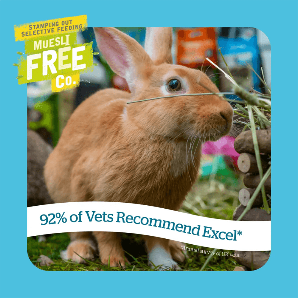 Burgess Dual Care Recovery Formula_museli free