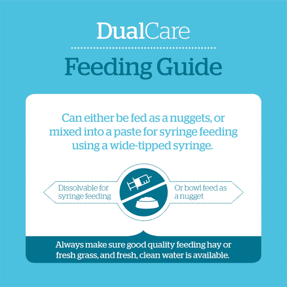 Burgess Dual Care Recovery Formula_feeding guide