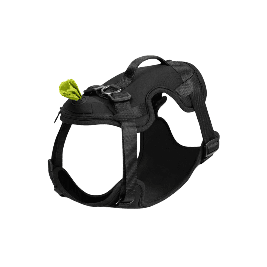 Everything No Pull Dog Harness with Bag Dispenser in Black