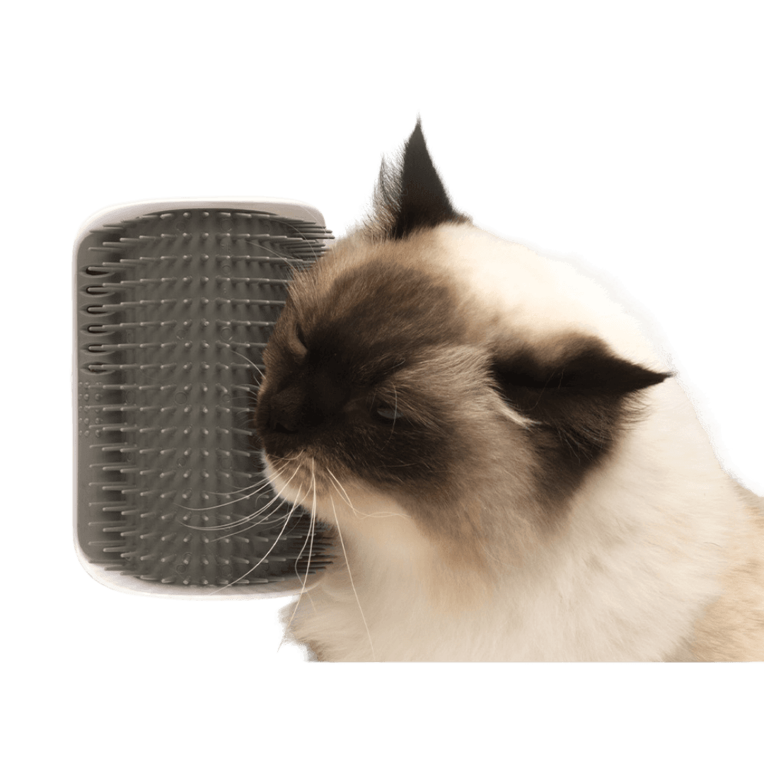 catit-senses-self-groomer