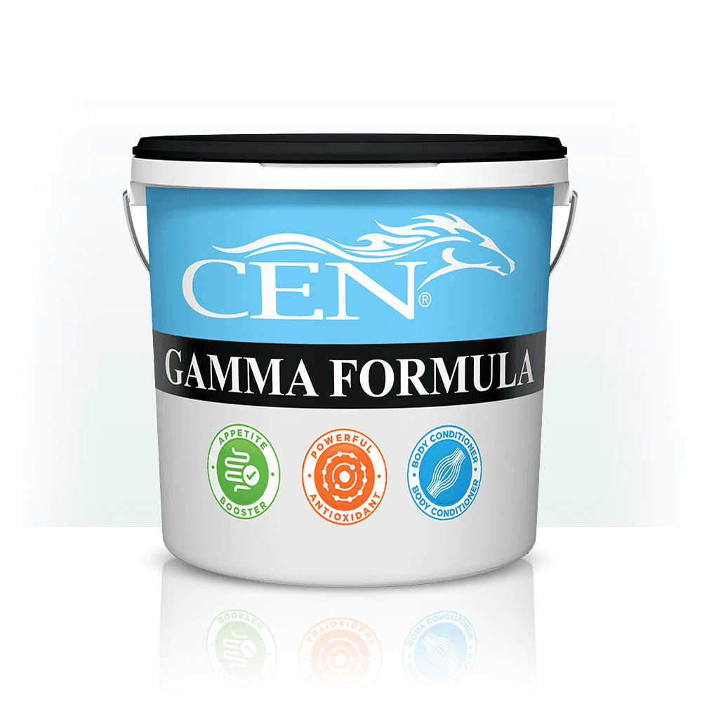 cen-gamma-formula-horse-supplements 1