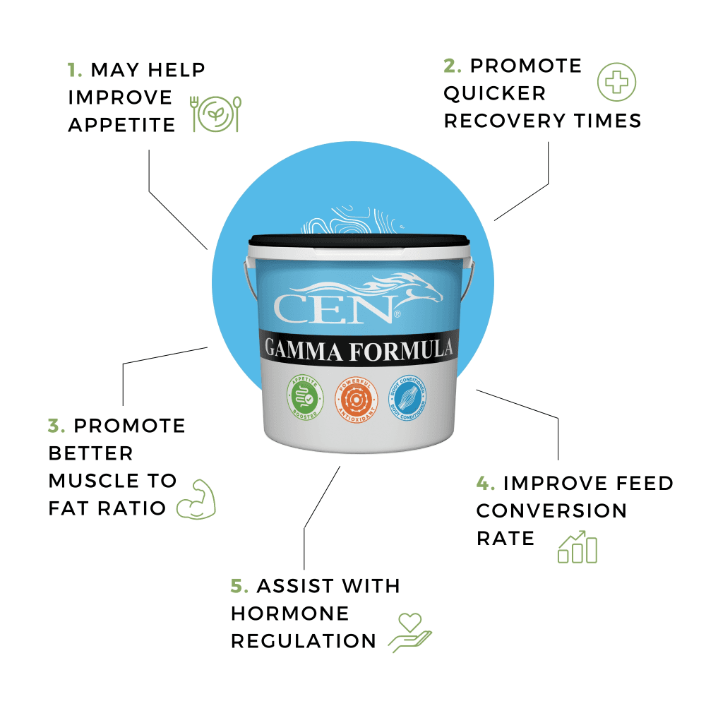 cen-gamma-formula-horse-supplements 2