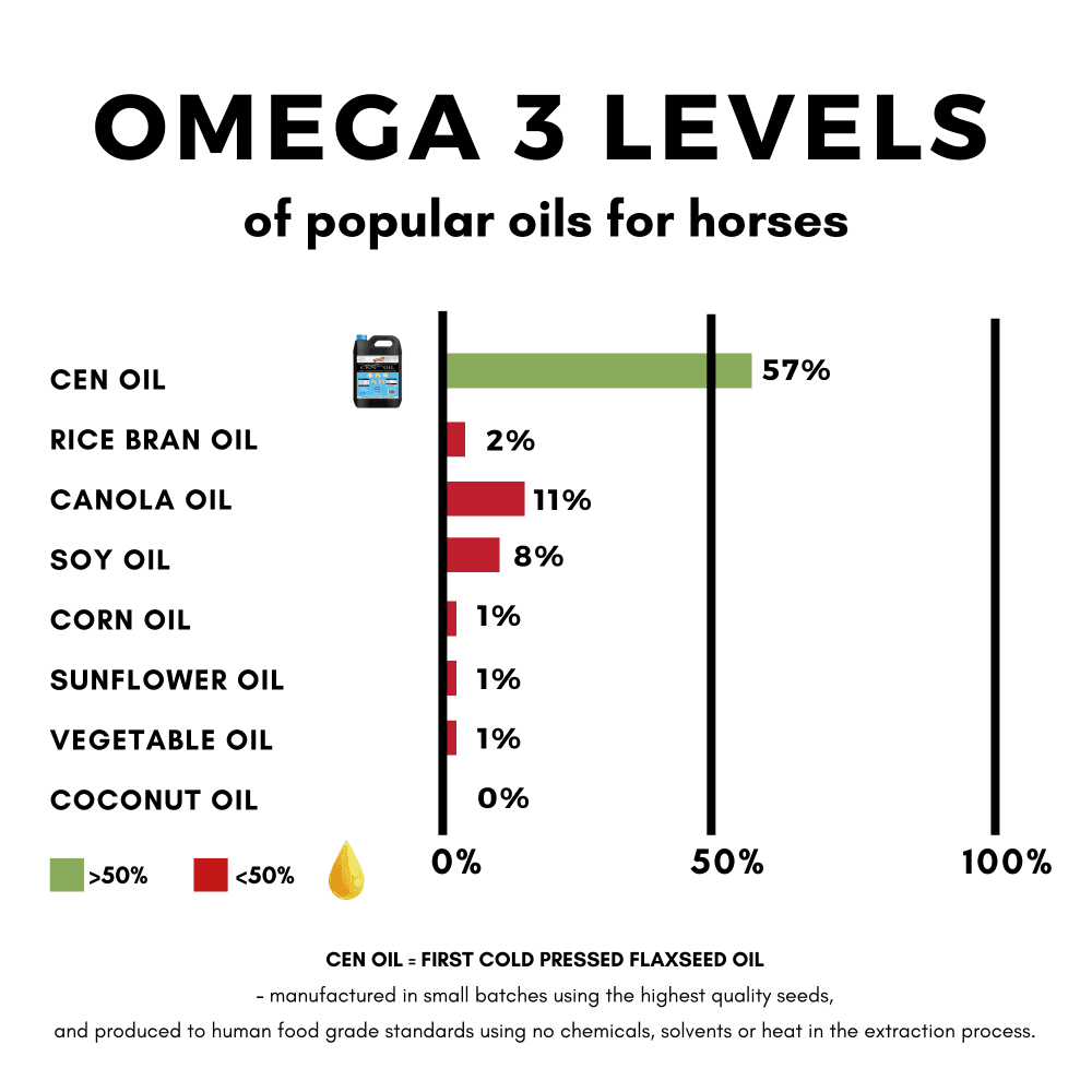 cen-oil-for-horse-supplements.png 2
