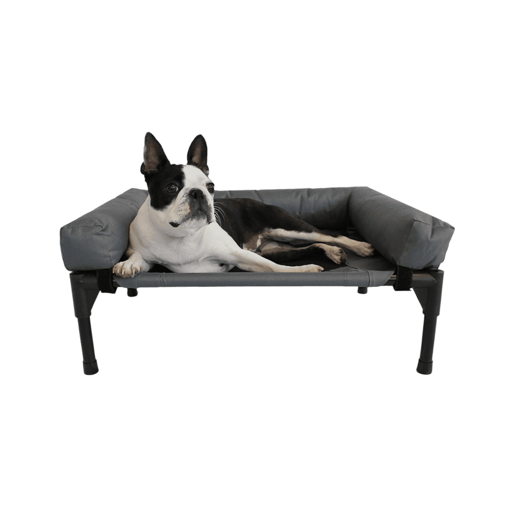 charlies-elevated-trampoline-bolster-dog-sofa-bed-grey