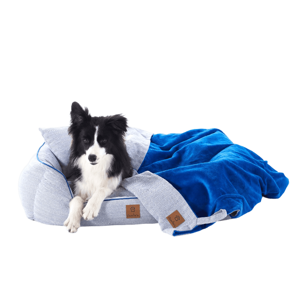charlies-hampton-herringbone-dog-bed-blanket-and-pillow-set-blue