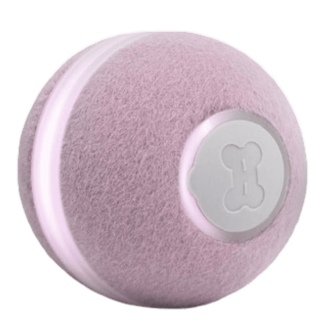 cheerble-m1-mini-cat-ball-purple