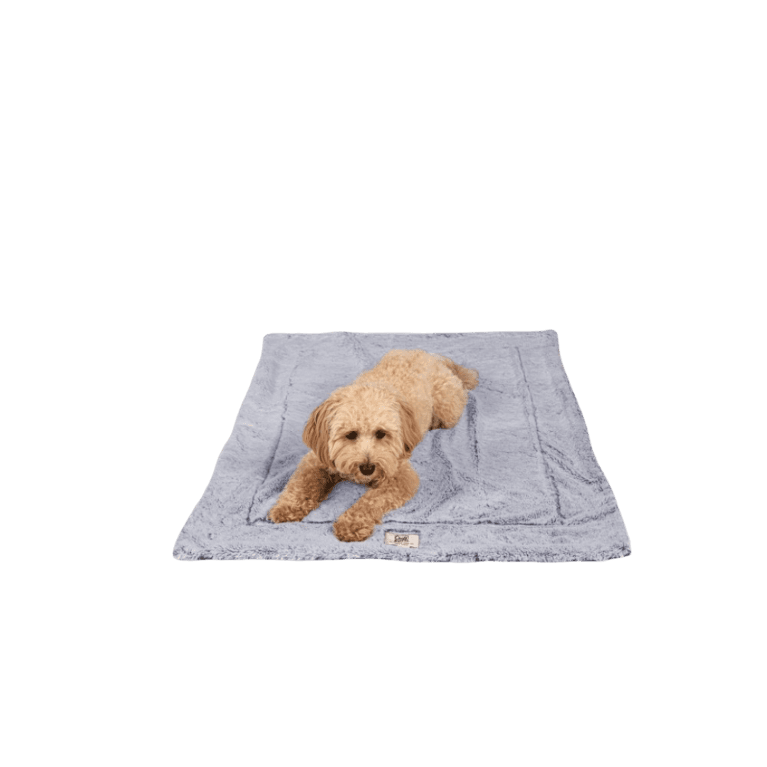 chill-kuzzi-plush-dog-blanket-with-infrared-technology-blue