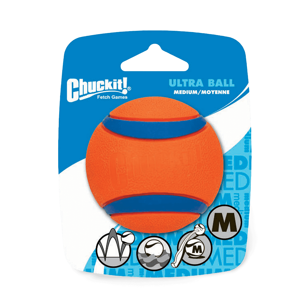 Better Bundles Chuckit Outdoor Dog Bundle