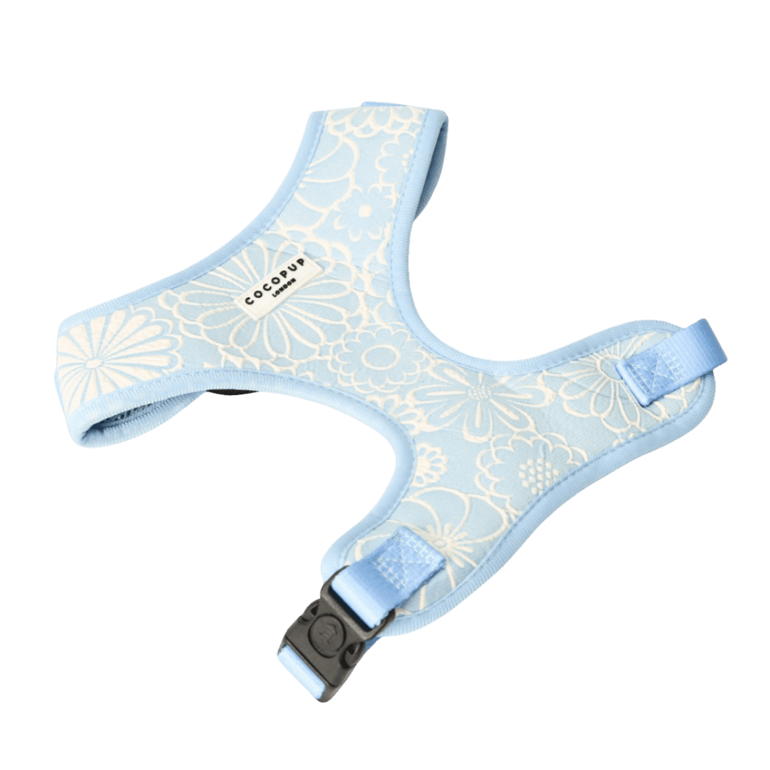 Embossed Dog Harness in Baby Blue Flower