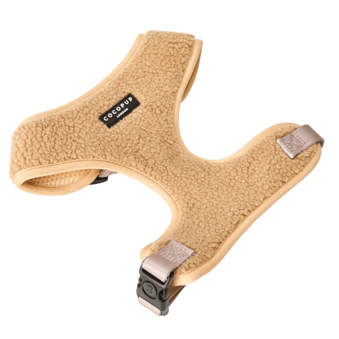 cocopup-london-adjustable-neck-dog-harness-teddy-rupert
