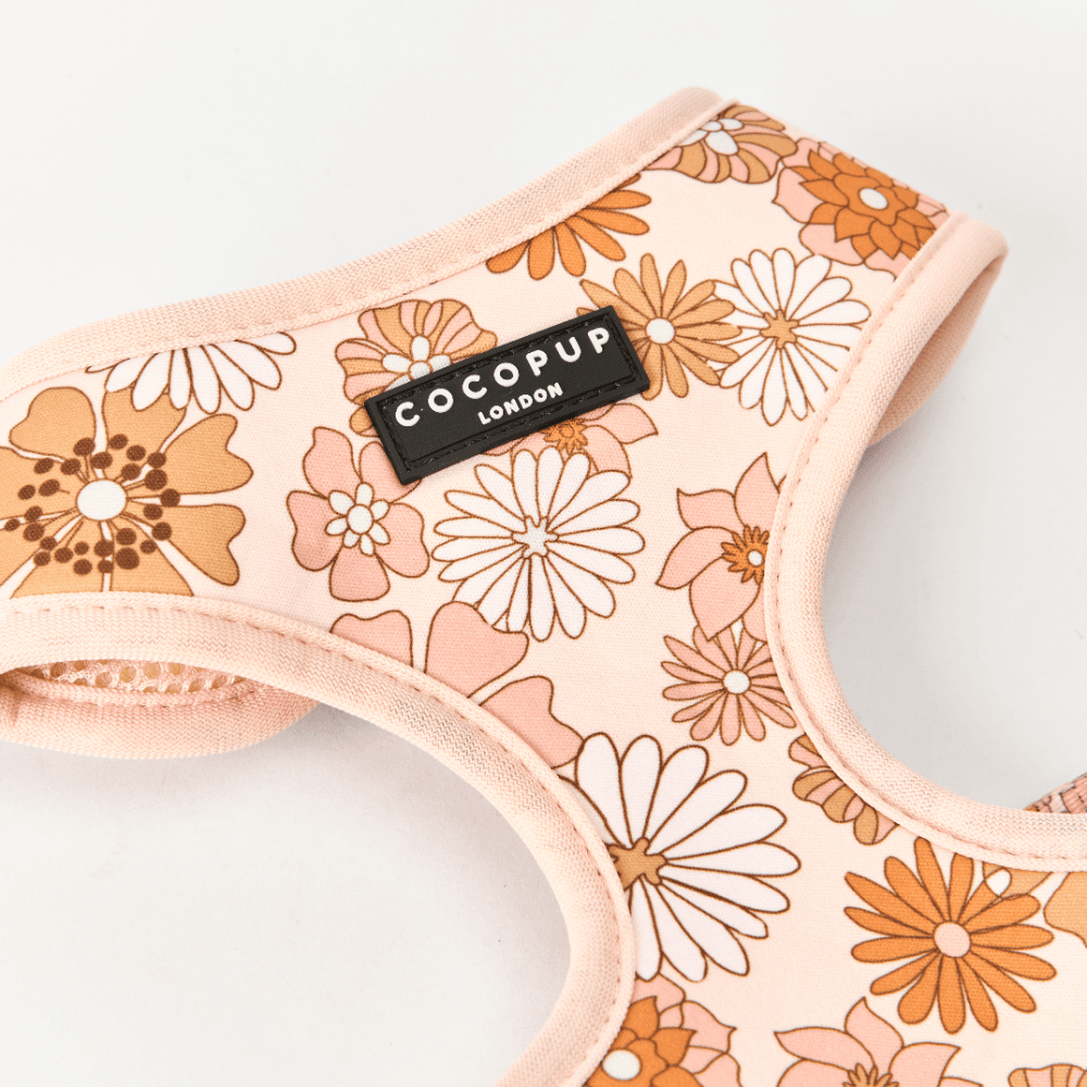 cocopup-london-adjustable-neck-dog-harness-groovy-florals