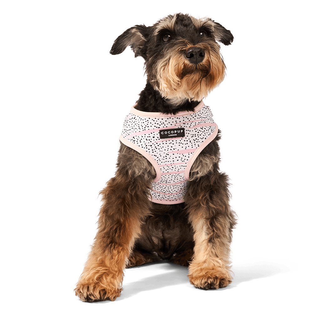 cocopup-london-adjustable-neck-dog-harness-pink-dalmatian