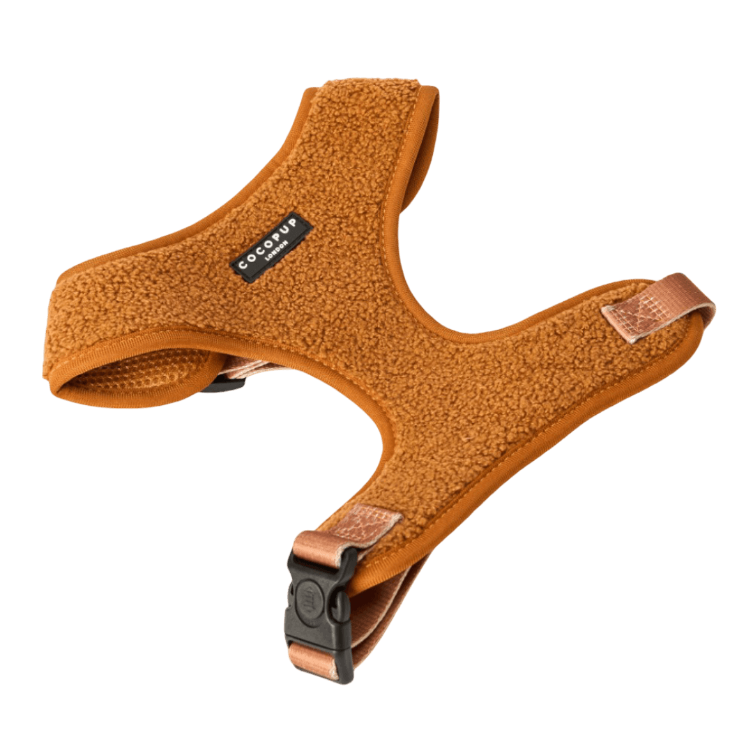 cocopup-london-adjustable-neck-dog-harness-teddy-paddington