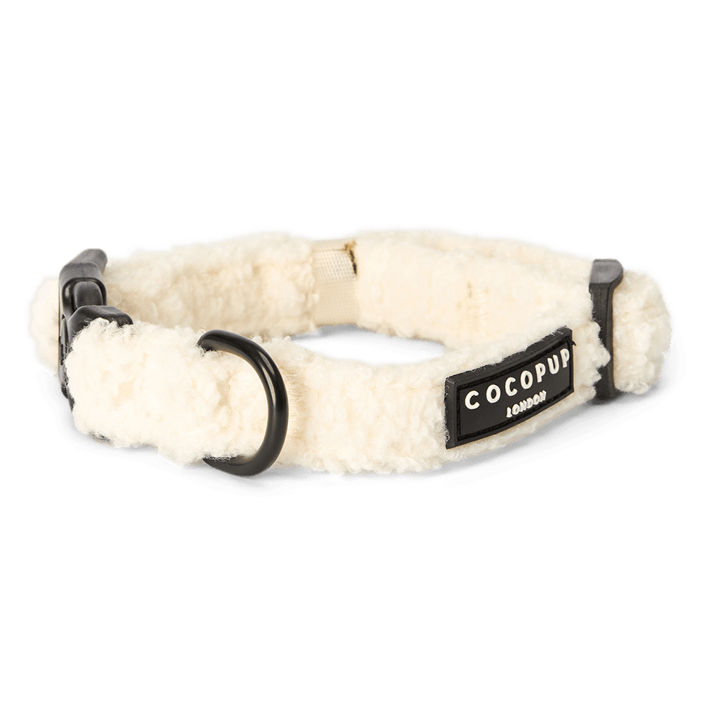 cocopup-london-dog-collar-teddy-dolly