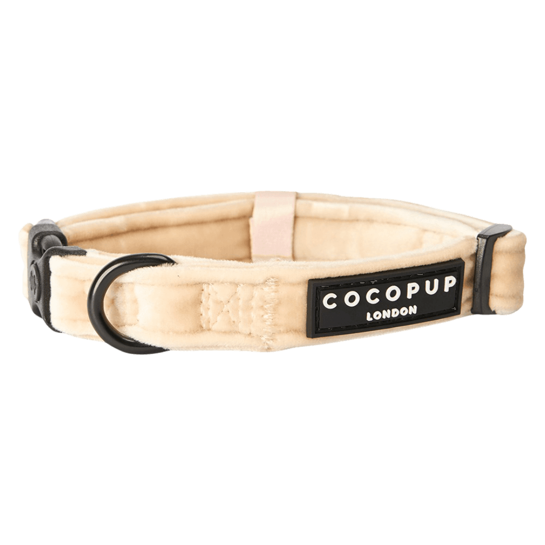 cocopup-london-dog-collar-luxe-champagne-velvet