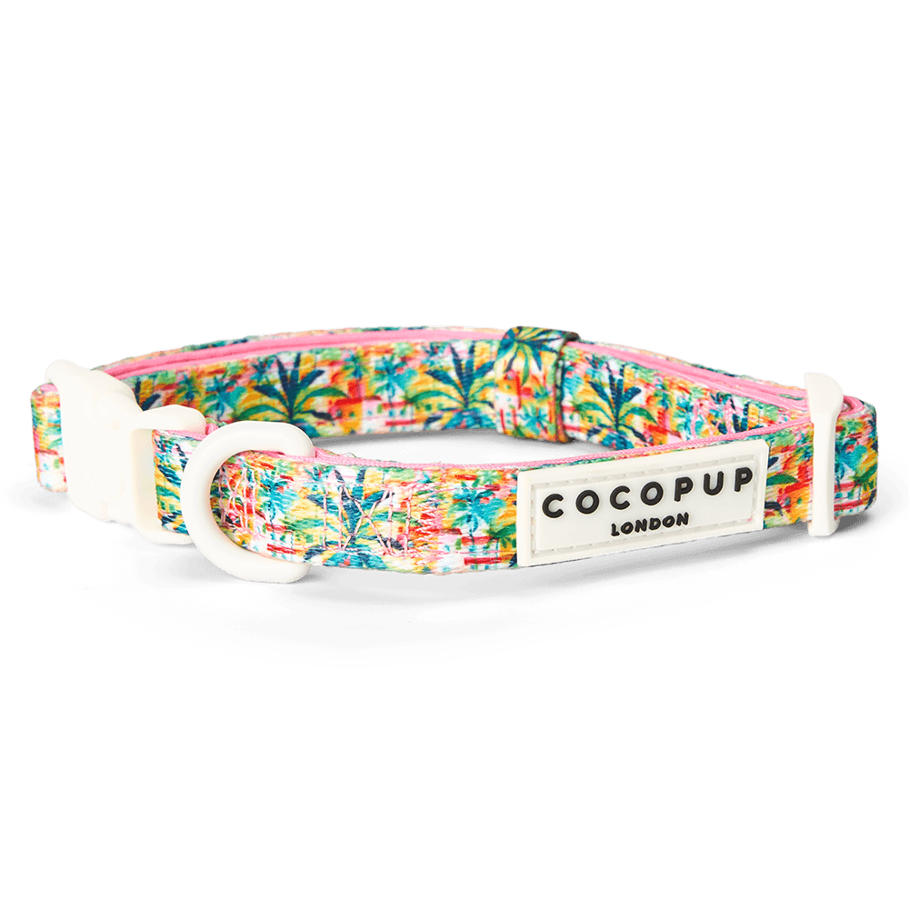 cocopup-london-dog-collar-portofino-pup