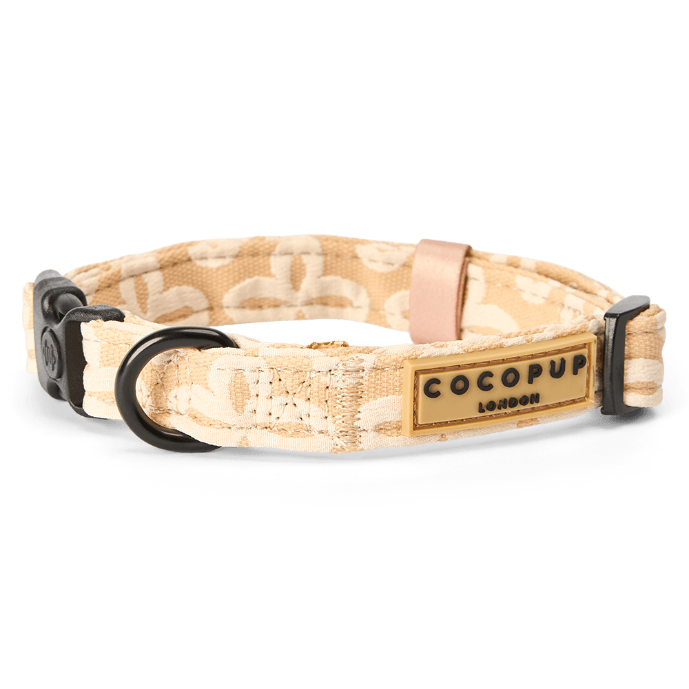 cocopup-london-dog-collar-luxe-vanilla-flower