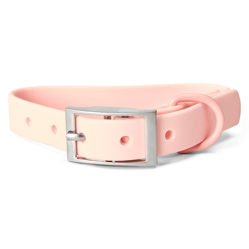 cocopup-london-dog-collar-nakd-candyfloss