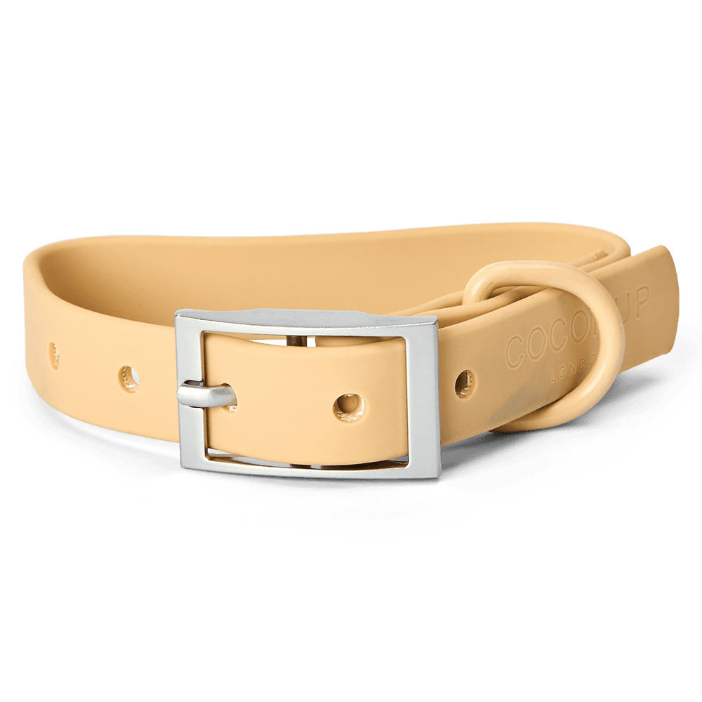 cocopup-london-dog-collar-nakd-biscuit