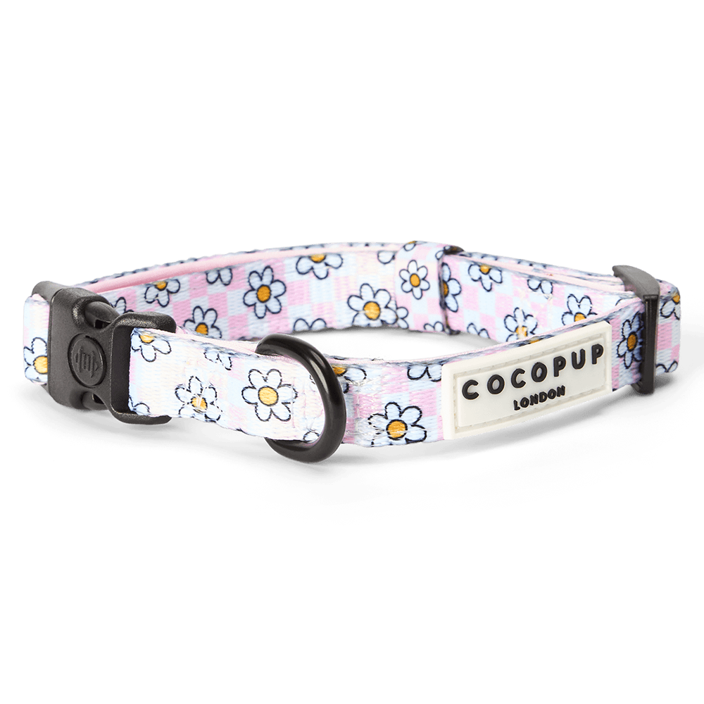 cocopup-london-dog-collar-daisy-gingham