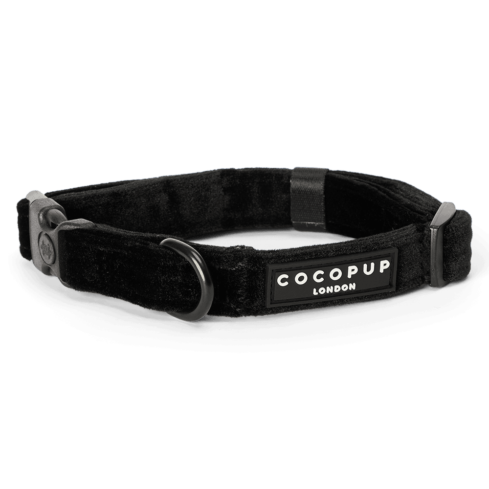 cocopup-london-dog-collar-luxe-noir-velvet