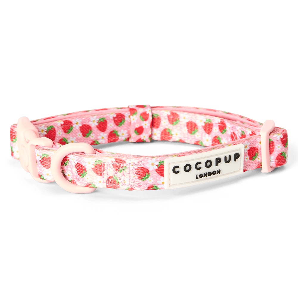 cocopup-london-dog-collar-pupberry-fields