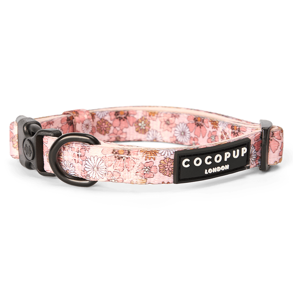 cocopup-london-dog-collar-groovy-florals