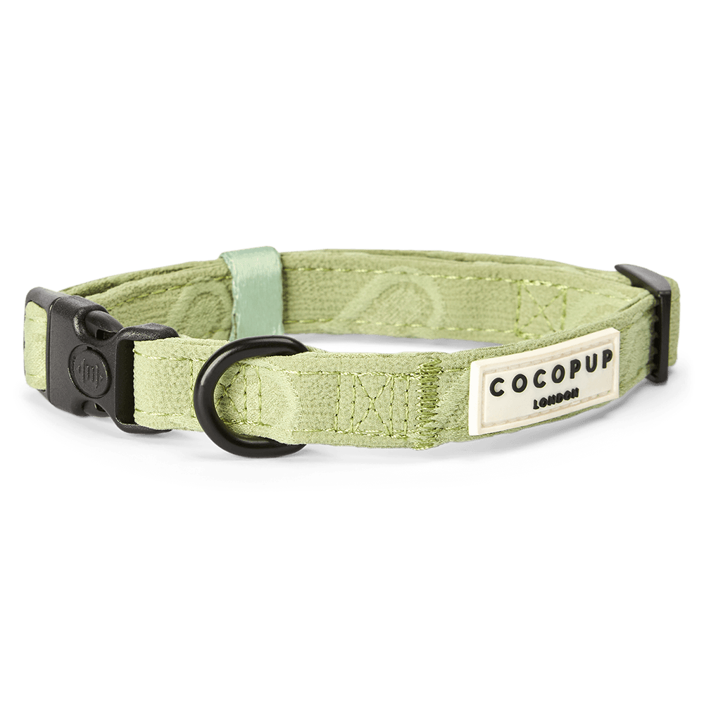 Embossed Dog Collar in Sage Heart Green