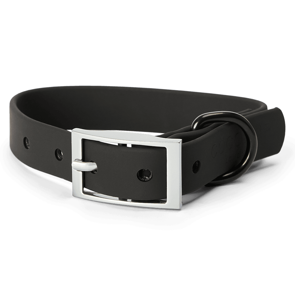 Nakd Waterproof Dog Collar in Liquorice Black