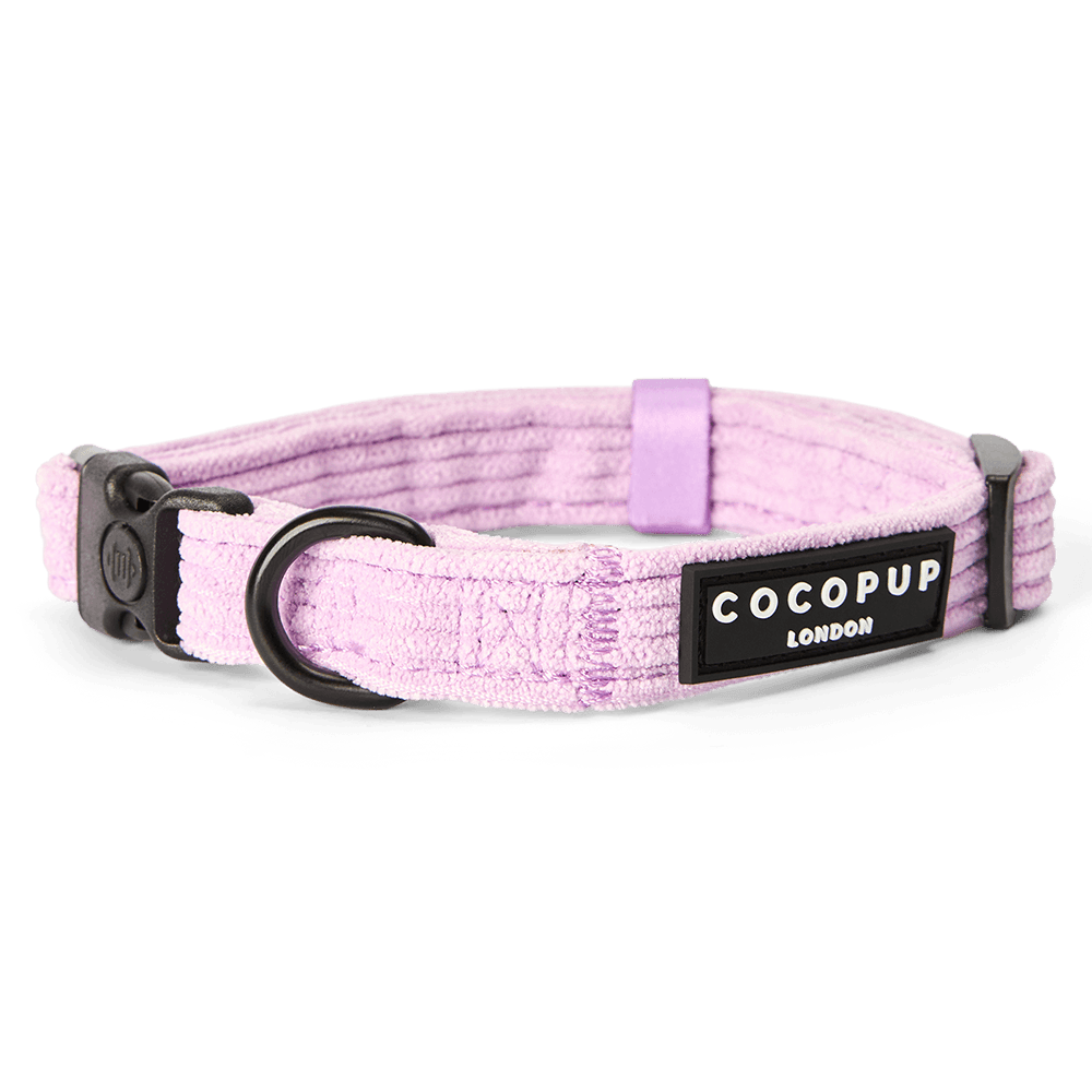 cocopup-london-dog-collar-lilac-cord