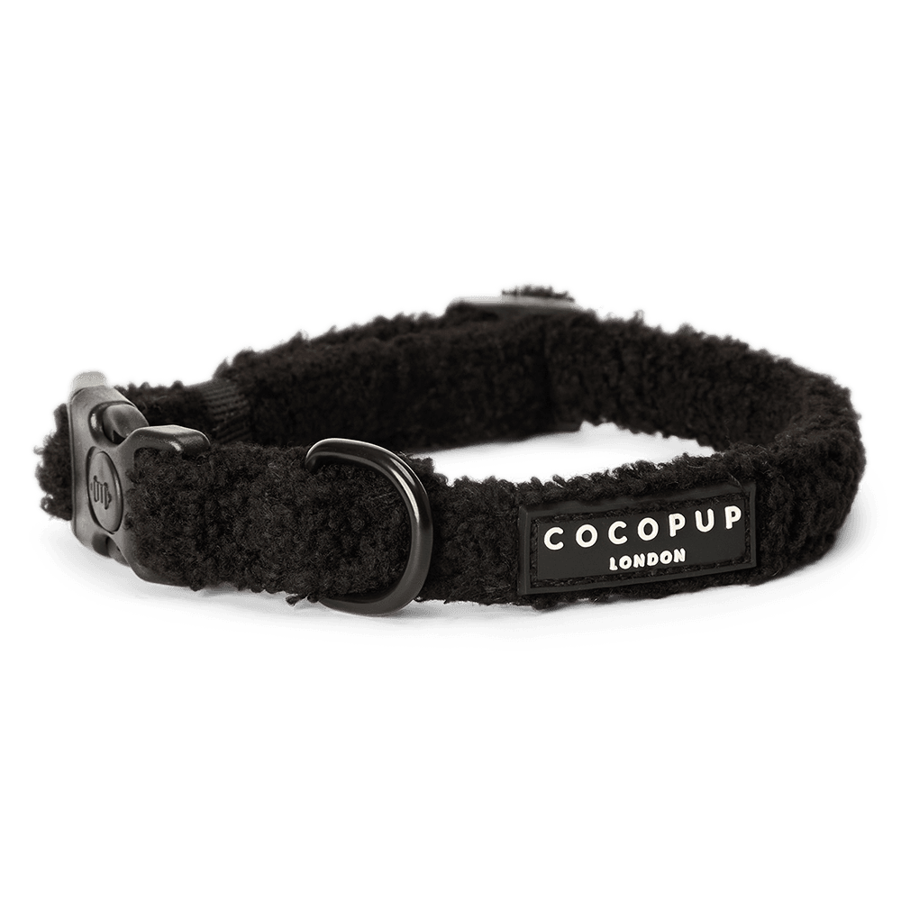 cocopup-london-dog-collar-teddy-baloo