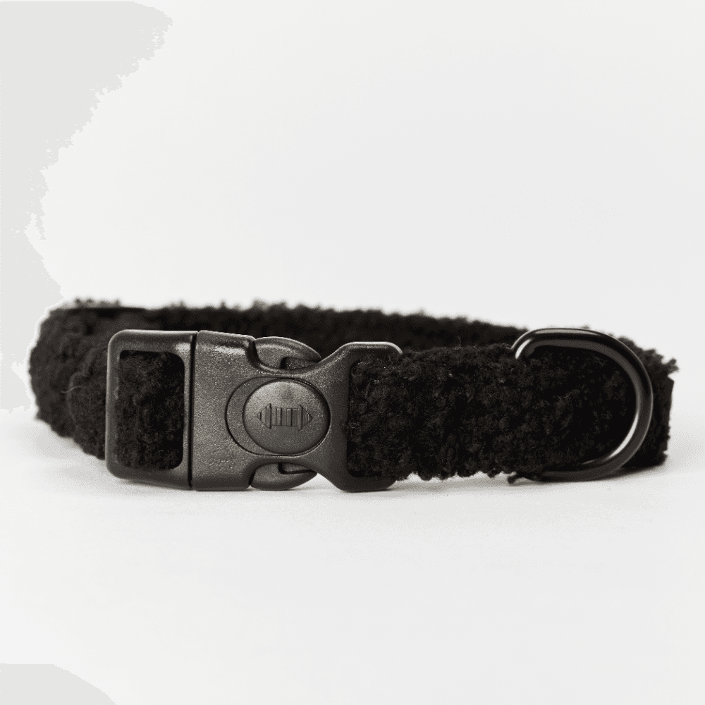 cocopup-london-dog-collar-teddy-baloo