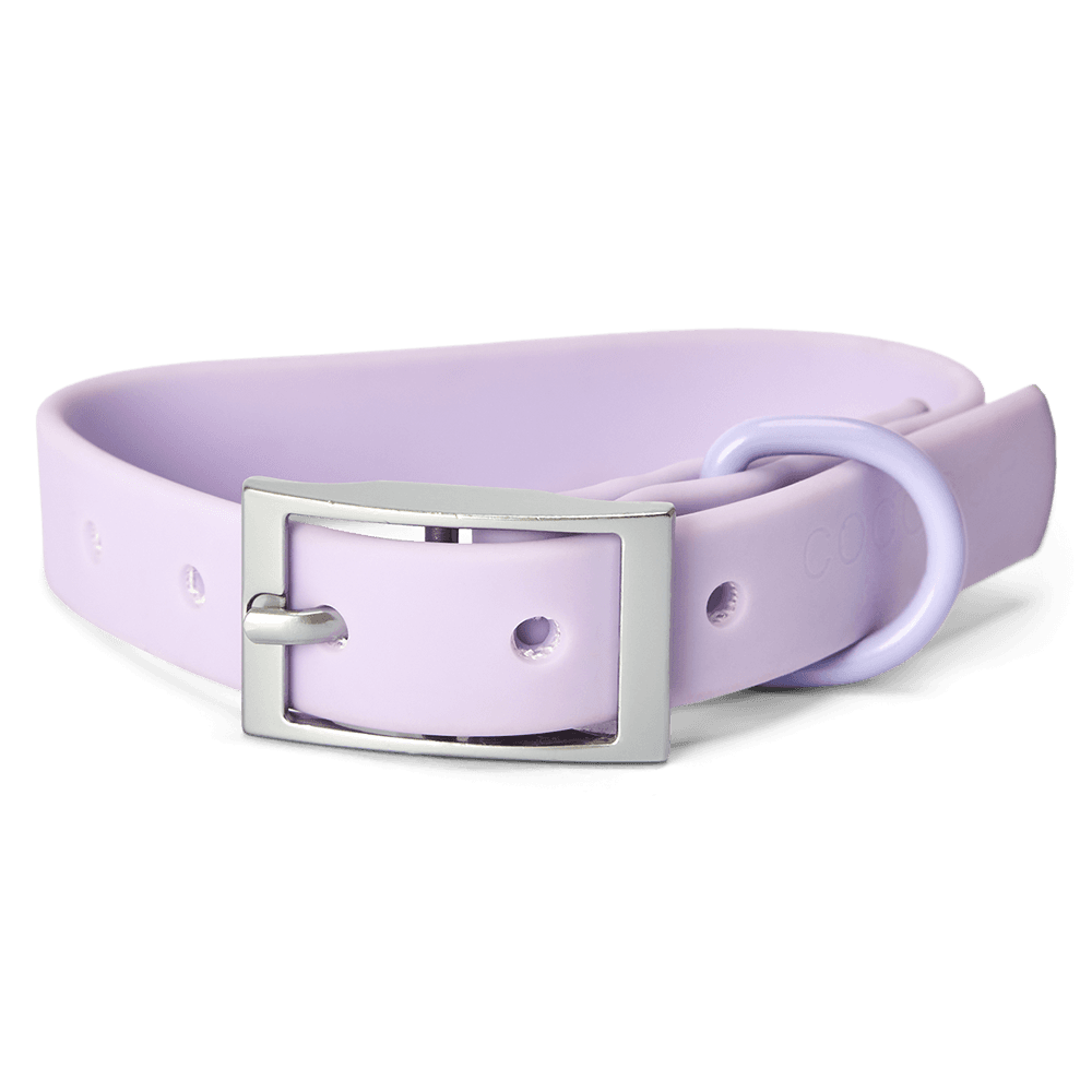 cocopup-london-dog-collar-nakd-parma-violets