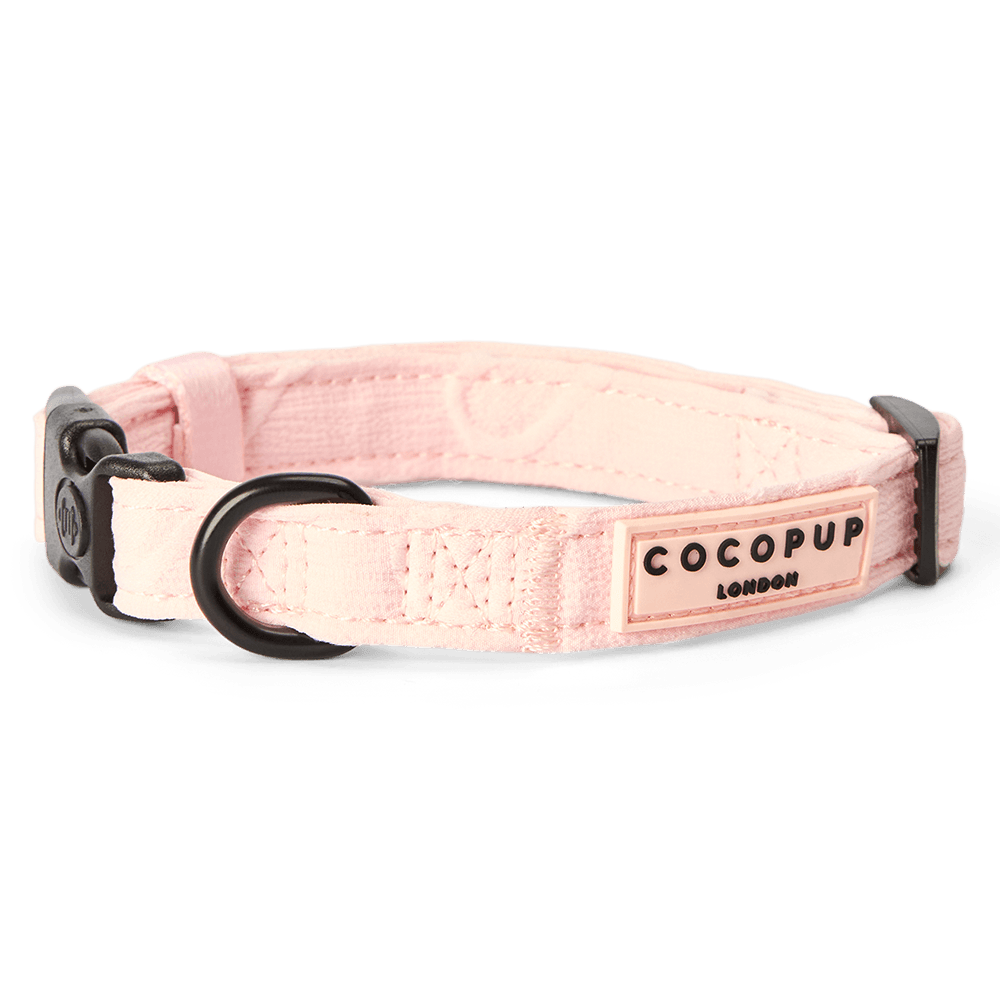 cocopup-london-dog-collar-baby-pink-heart