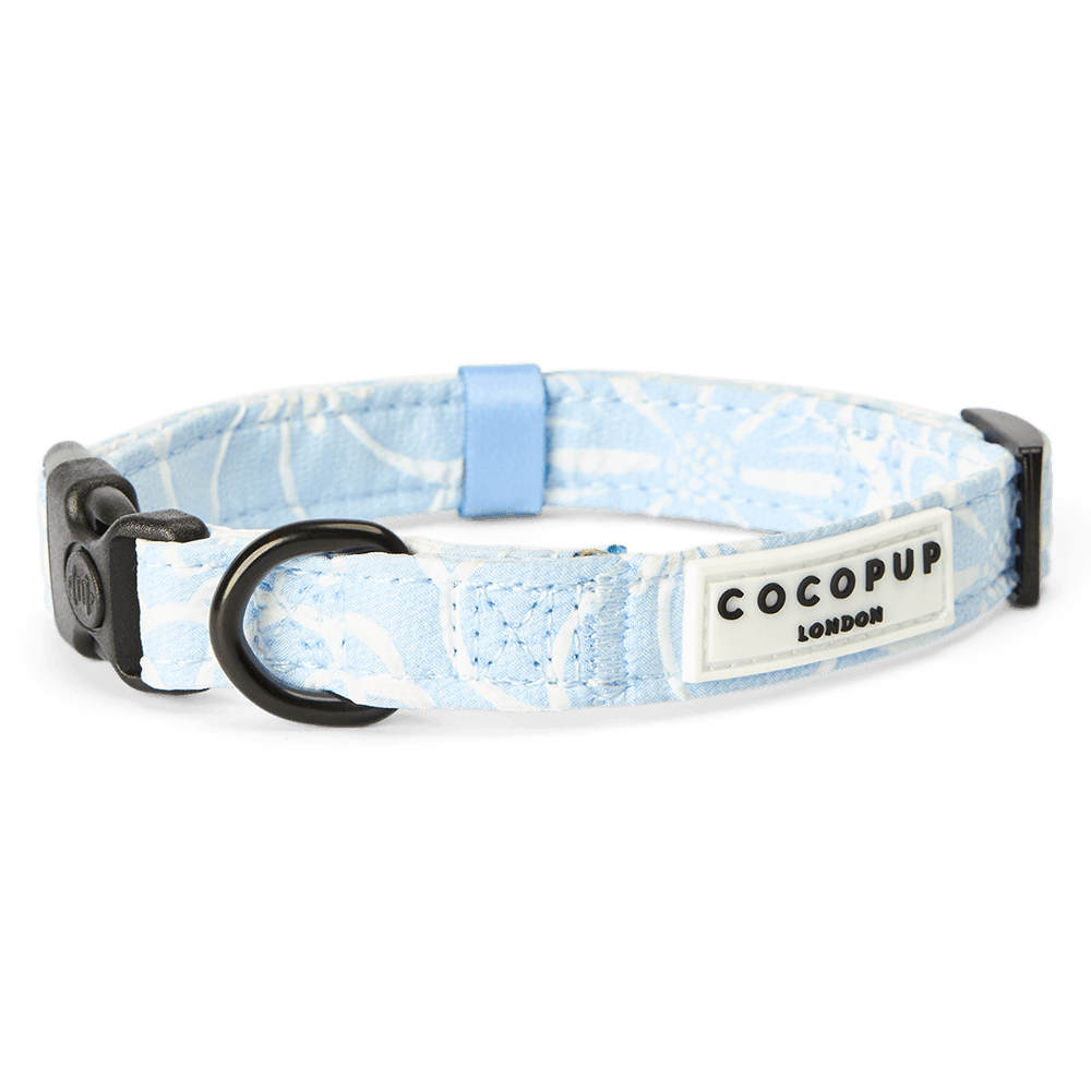 cocopup-london-dog-collar-baby-blue-flower