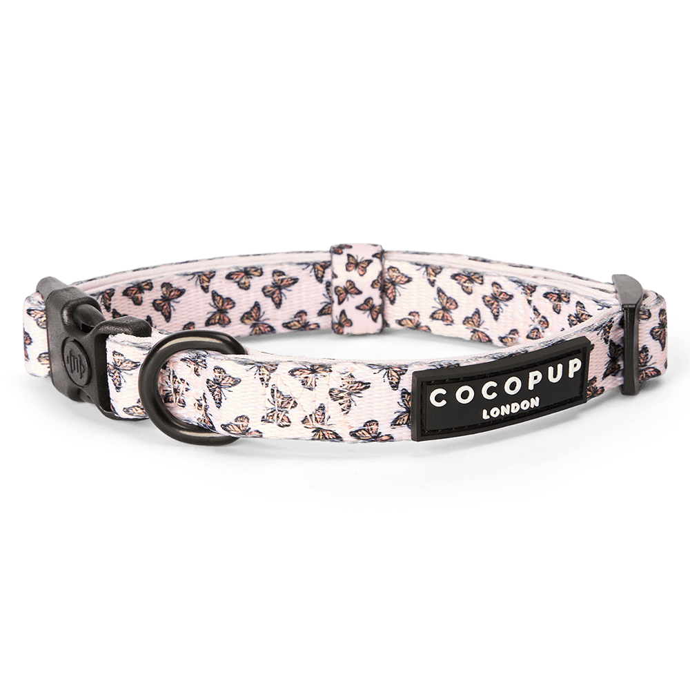 cocopup-london-dog-collar-boujee-butterfly