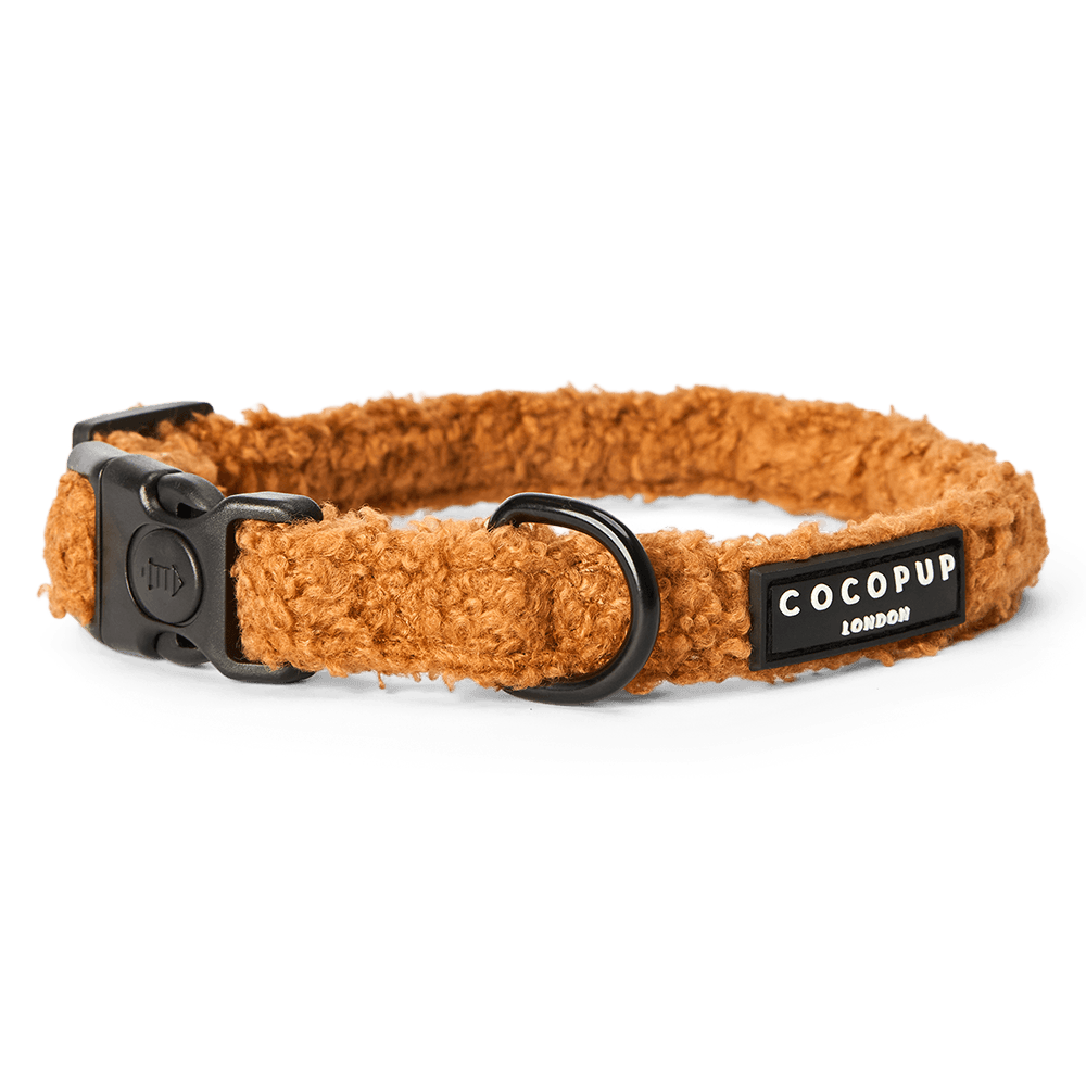 cocopup-london-dog-collar-teddy-paddington