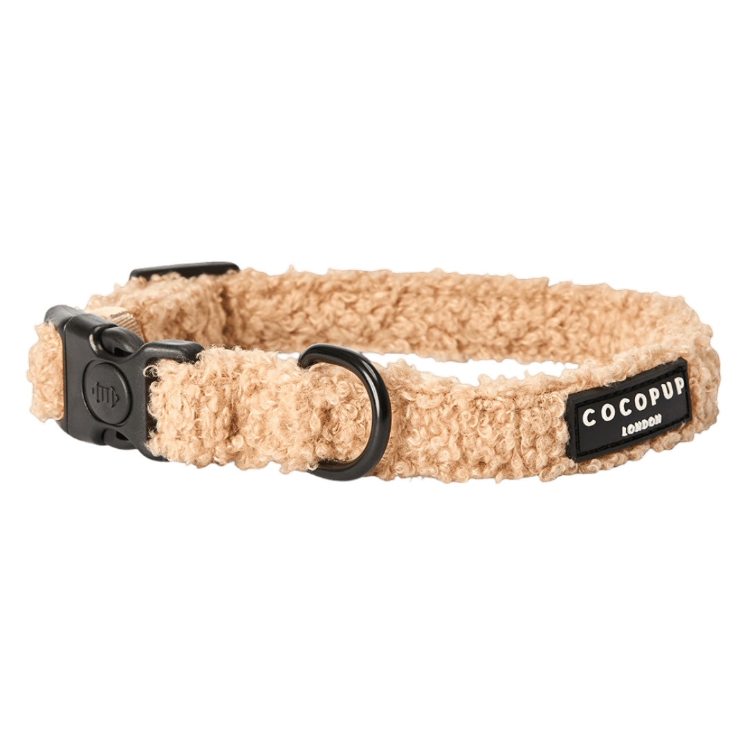Teddy Dog Collar in Rupert Brown