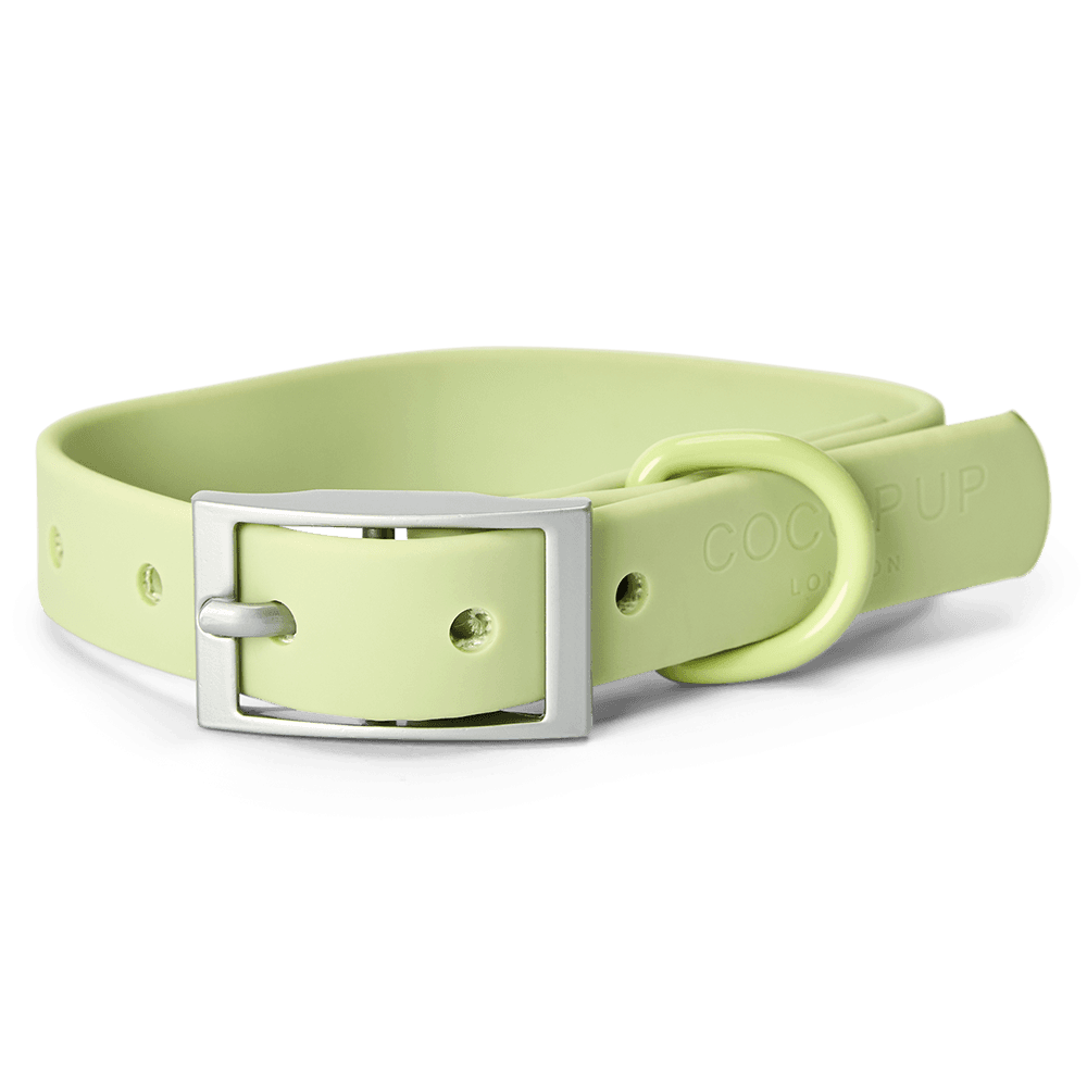 cocopup-london-dog-collar-nakd-matcha