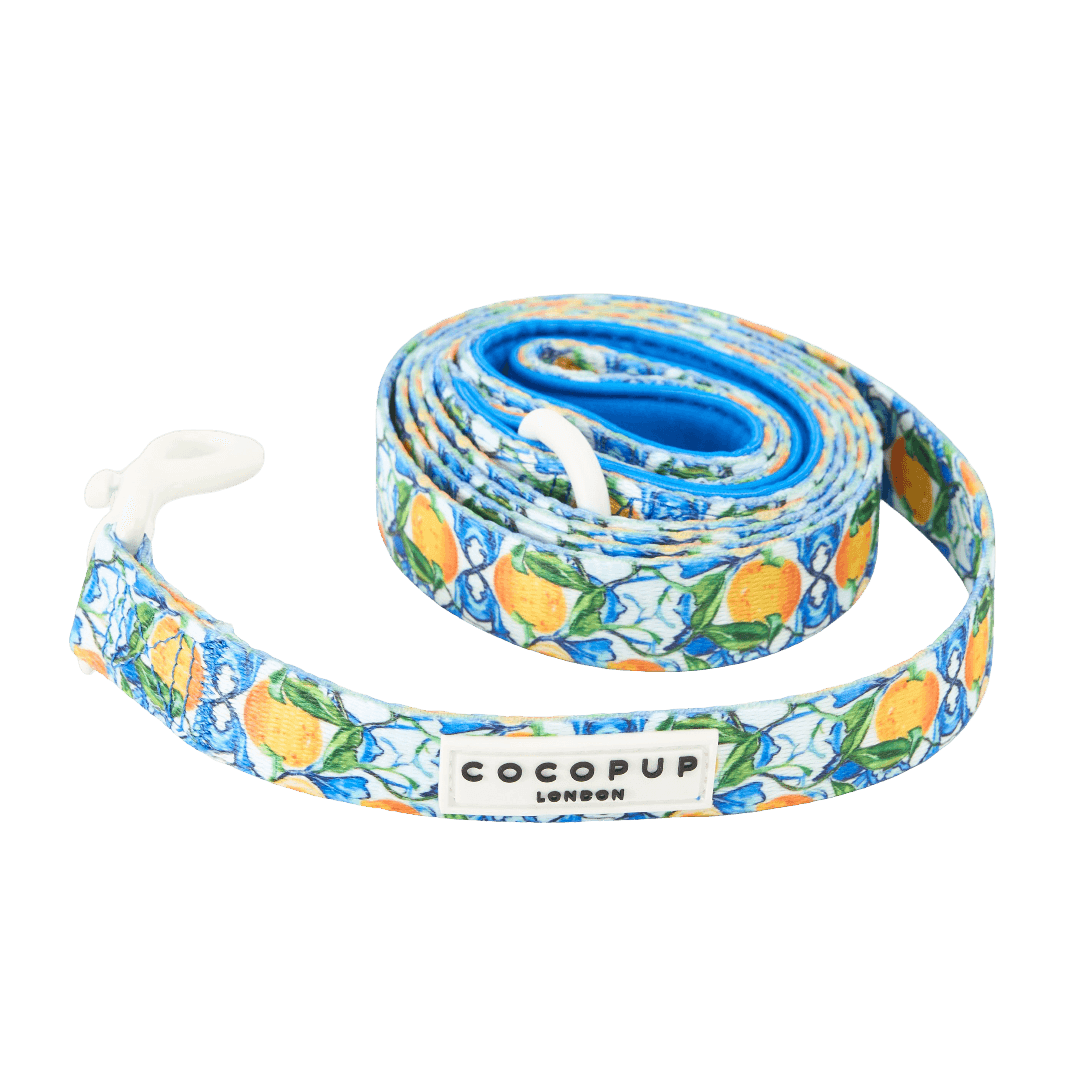 cocopup-london-dog-lead-amalfi-lemons
