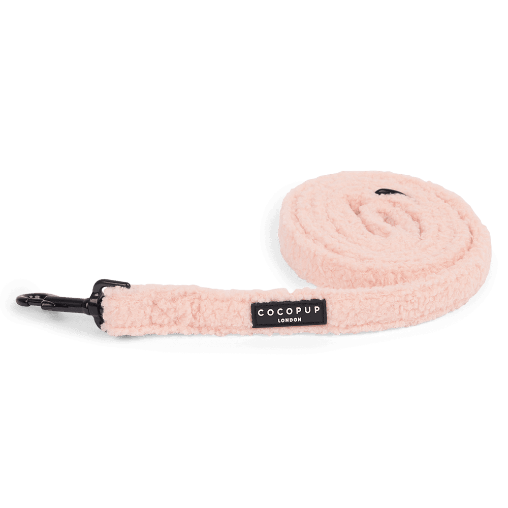 cocopup-london-dog-lead-teddy-love-a-lot