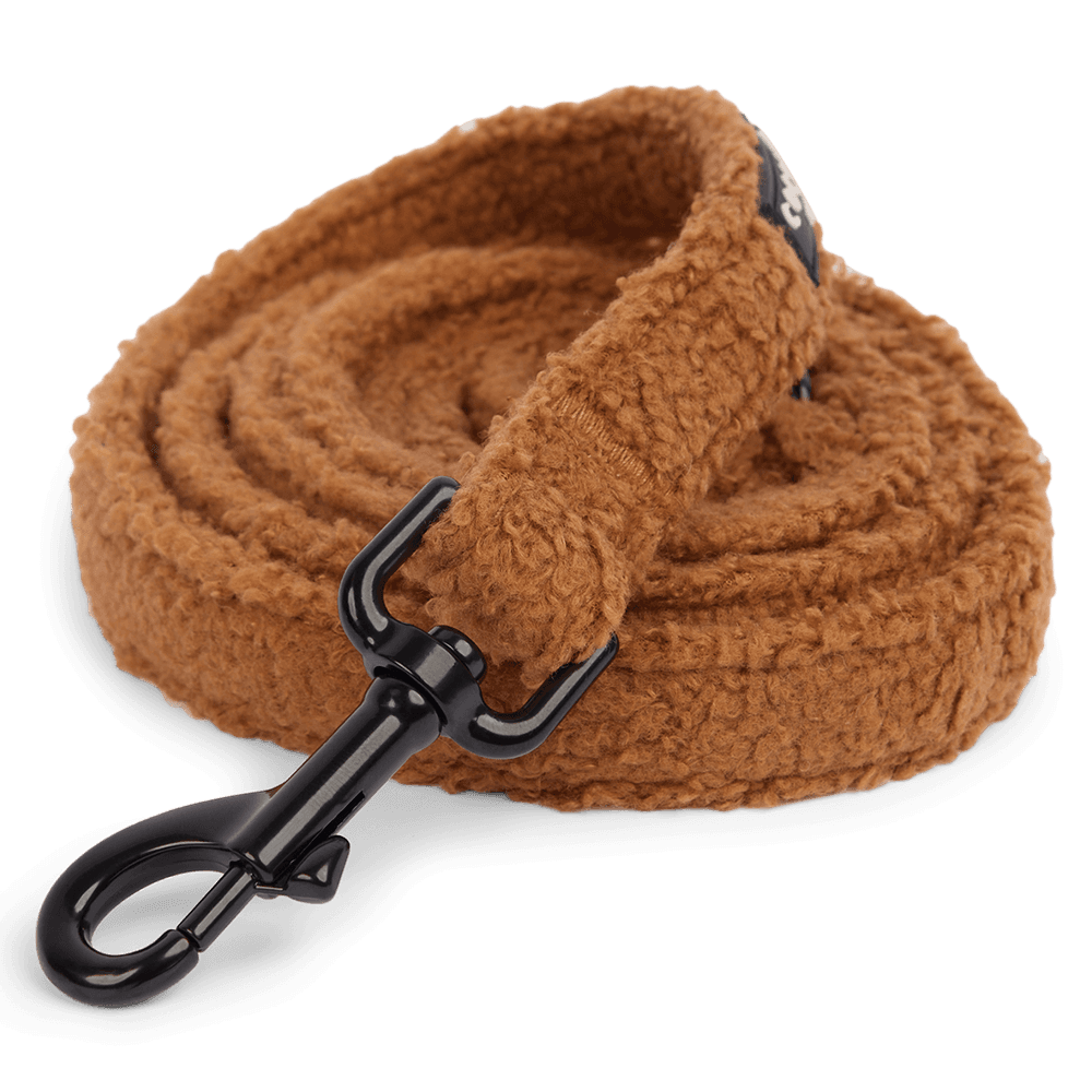 cocopup-london-dog-lead-teddy-paddington